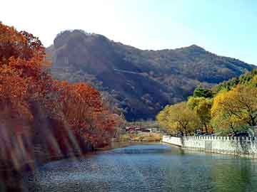 新澳天天开奖资料大全旅游团，不可思议养肝茶